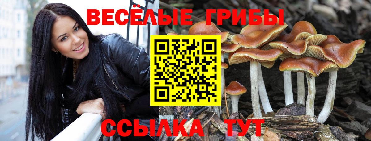 Нягань  Галлюциногенные грибы ЛСД  купить  сайты  Вход с VPN 